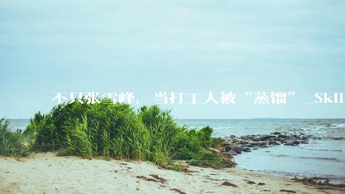 不只张雪峰，当打工人被“蒸馏”_Skill_同事_路平